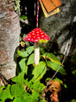004 Fly Argaric style paper mache - holiday ornament