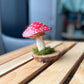 mushie - papier-mâché mushroom decor